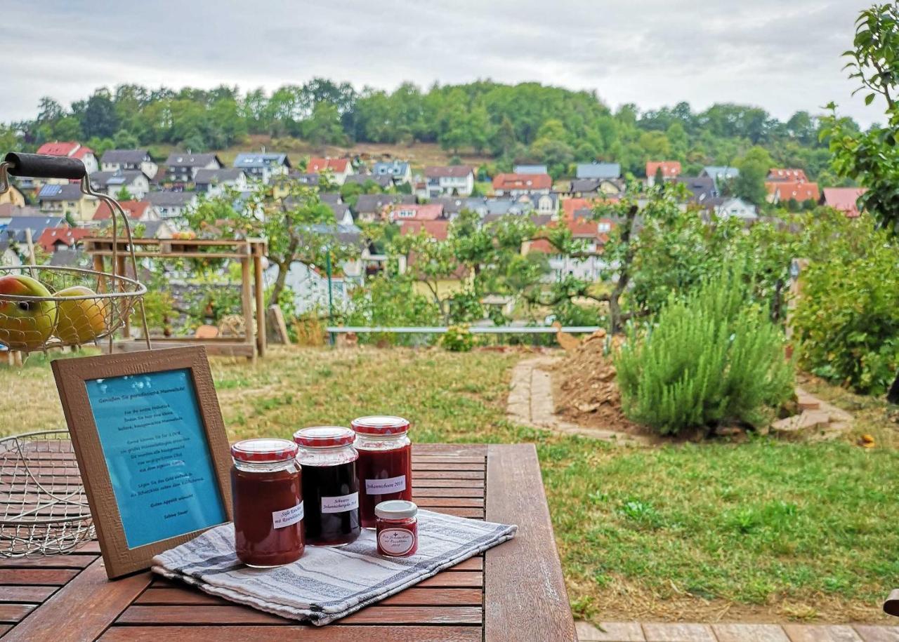 Ferienwohnung Im Paradies Momlingen Eksteriør billede